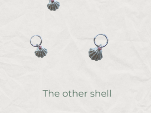 The other shell
