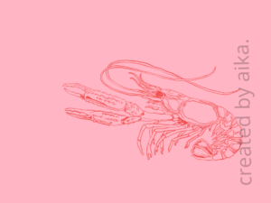 Pop shrimp